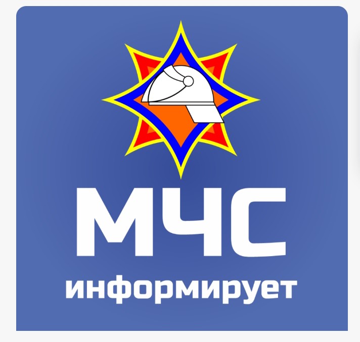 С начала года в Гомельской области на пожарах травмировано 6 детей