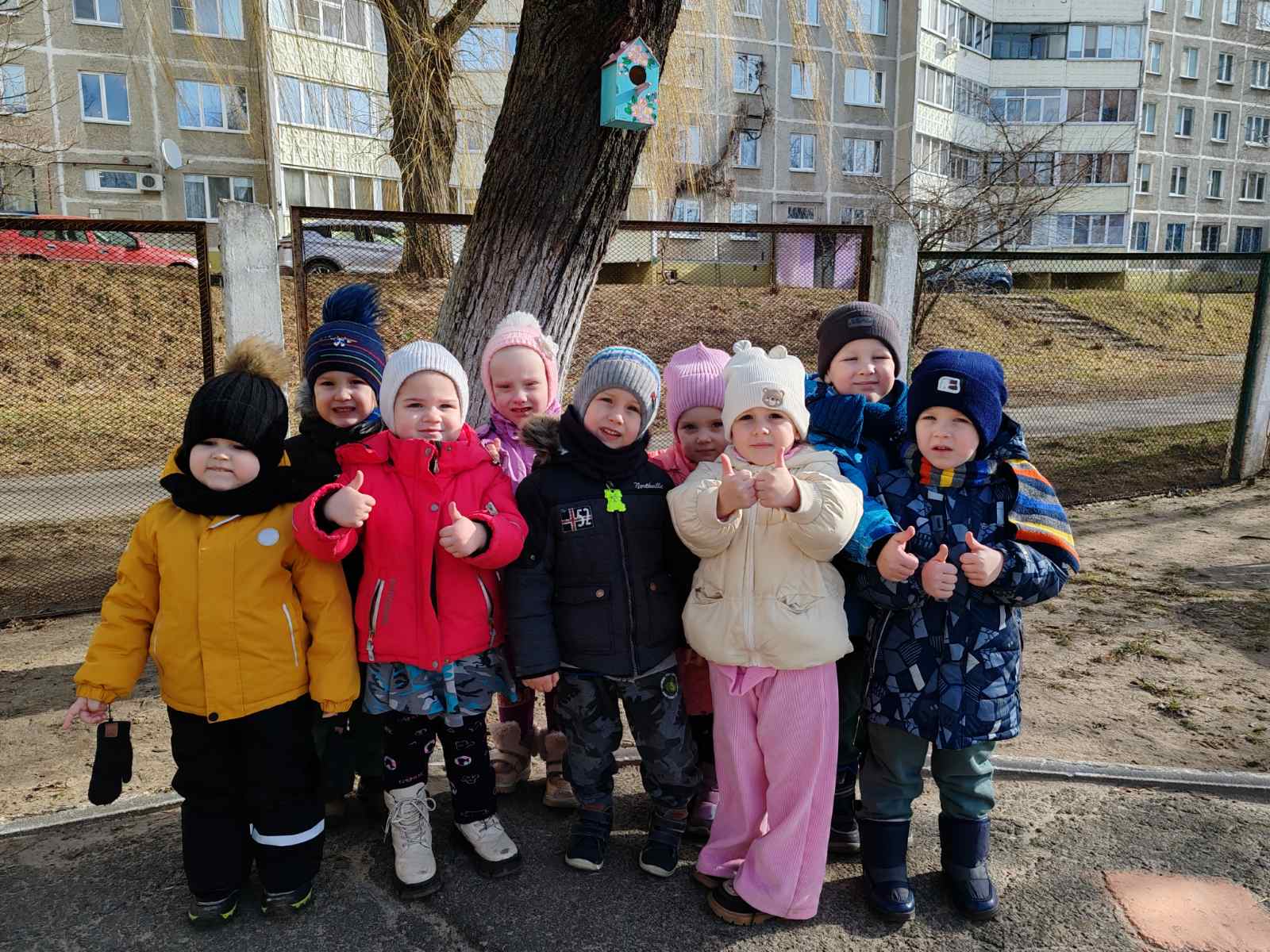 Акция Птицы - наши друзья